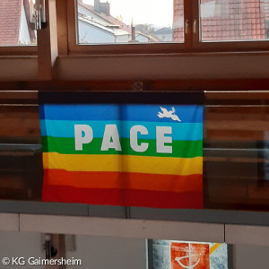 Peace Fahne 